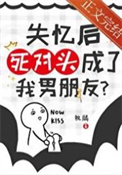 失忆后死对头成了我男朋友？